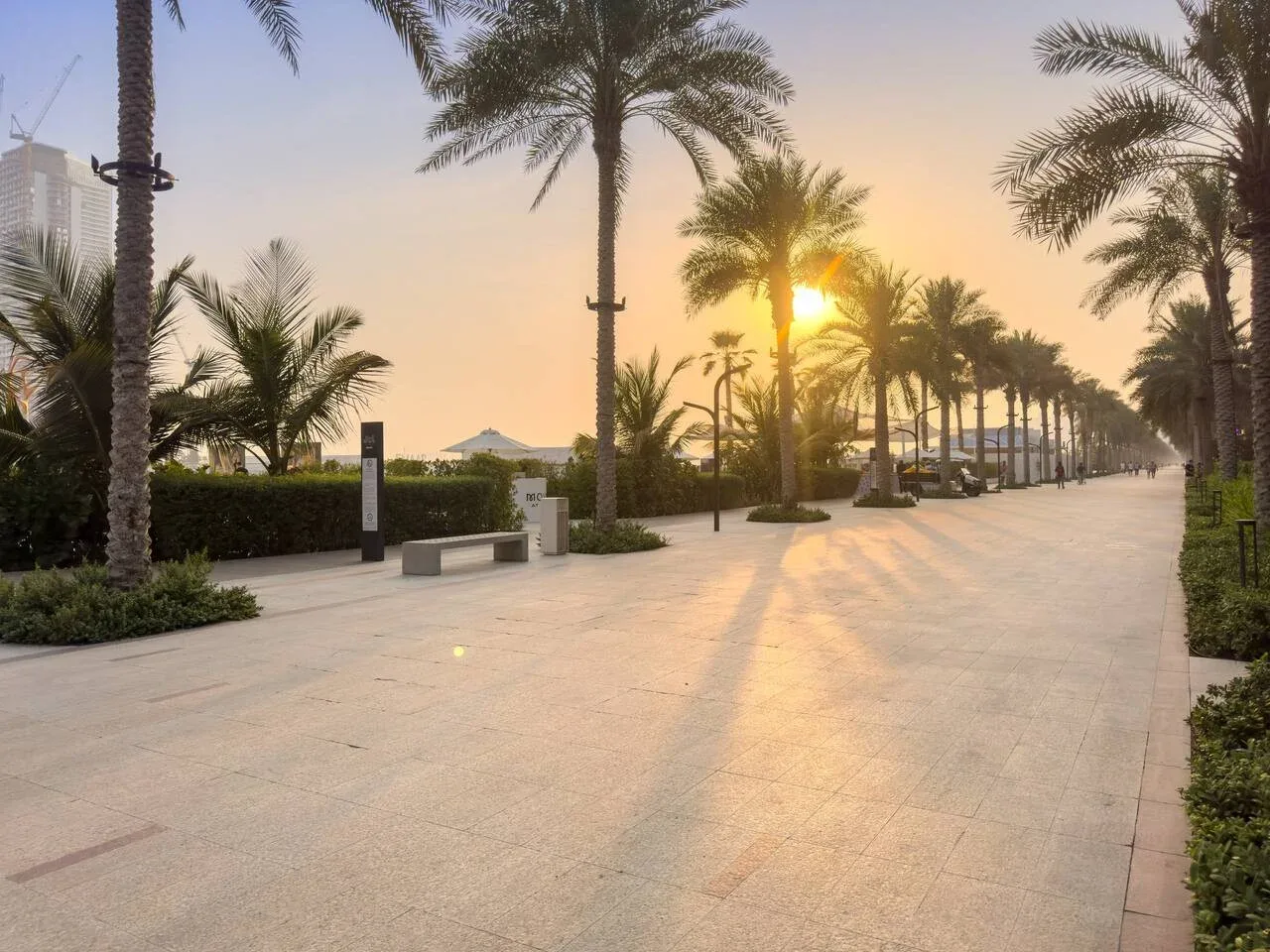 Un paseo peatonal bordeado de palmeras se extiende hacia el sol poniente.