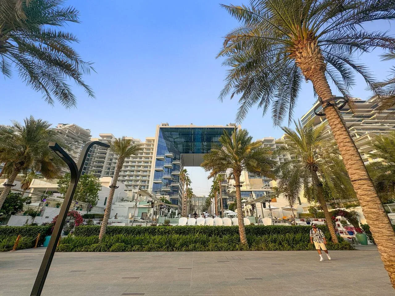 Una plaza peatonal bordeada de palmeras se extiende frente a edificios modernos de vidrio y piedra.