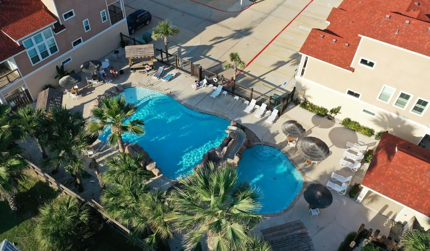Una piscina al aire libre está rodeada de palmeras y asientos de descanso.