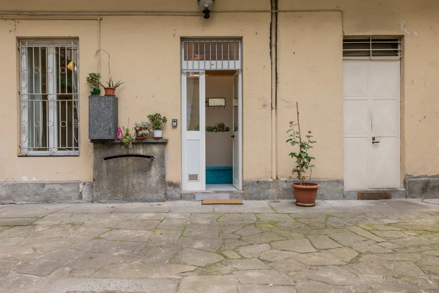 Una entrada de edificio con ventanas enrejadas, plantas en macetas y un patio pavimentado con piedra.