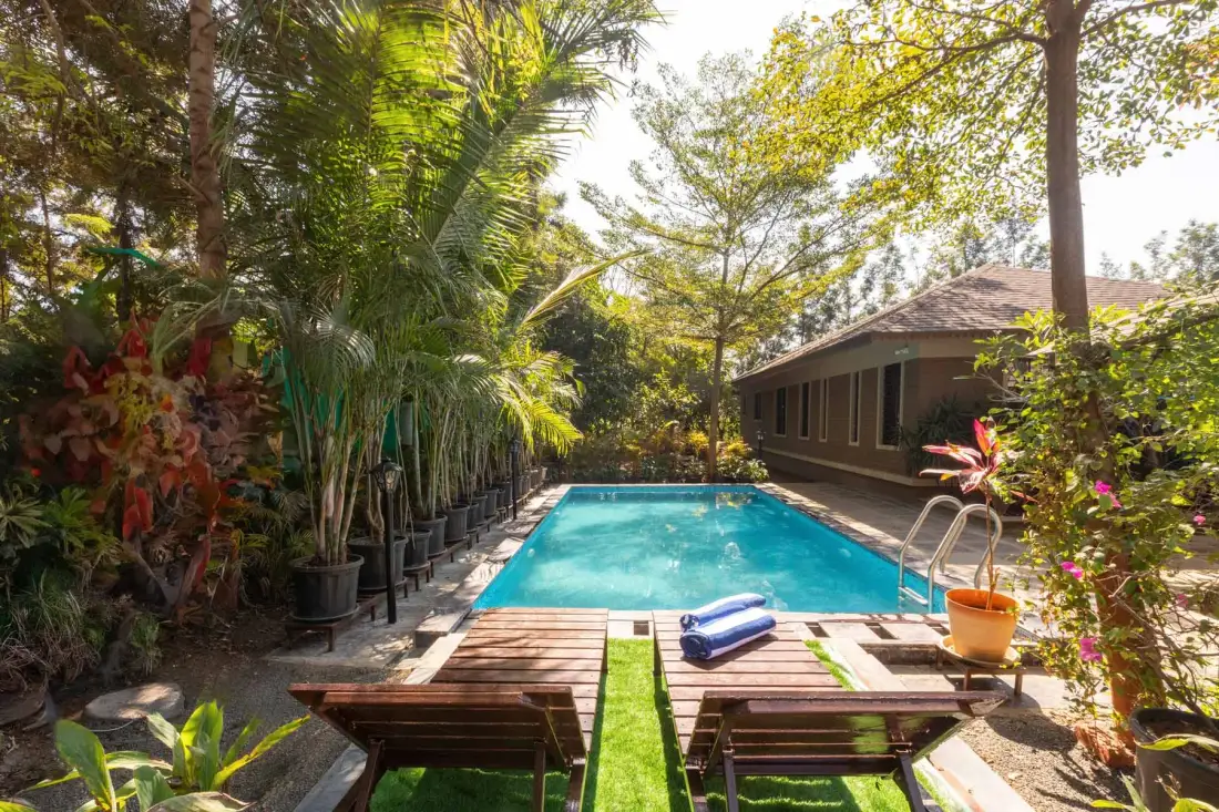 Una piscina en un jardín junto a un edificio bajo, rodeada de plantas tropicales y árboles.