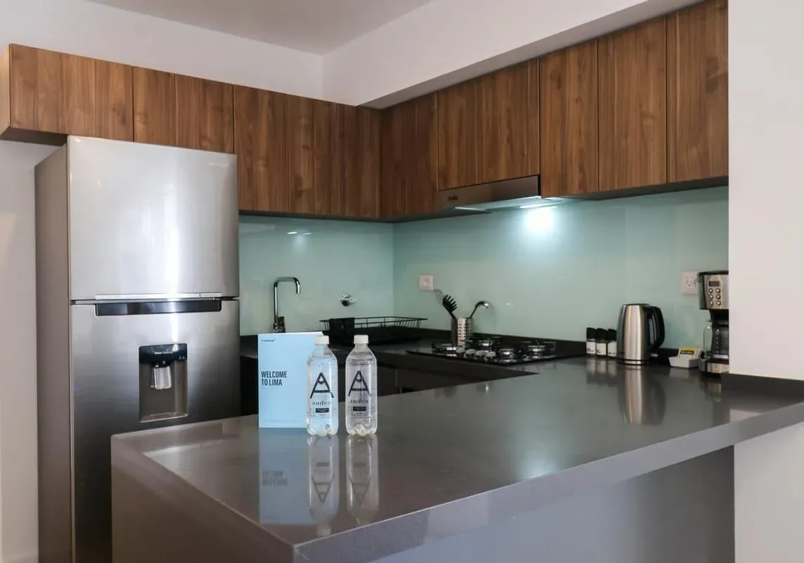 Amazing 1BR in San Isidro