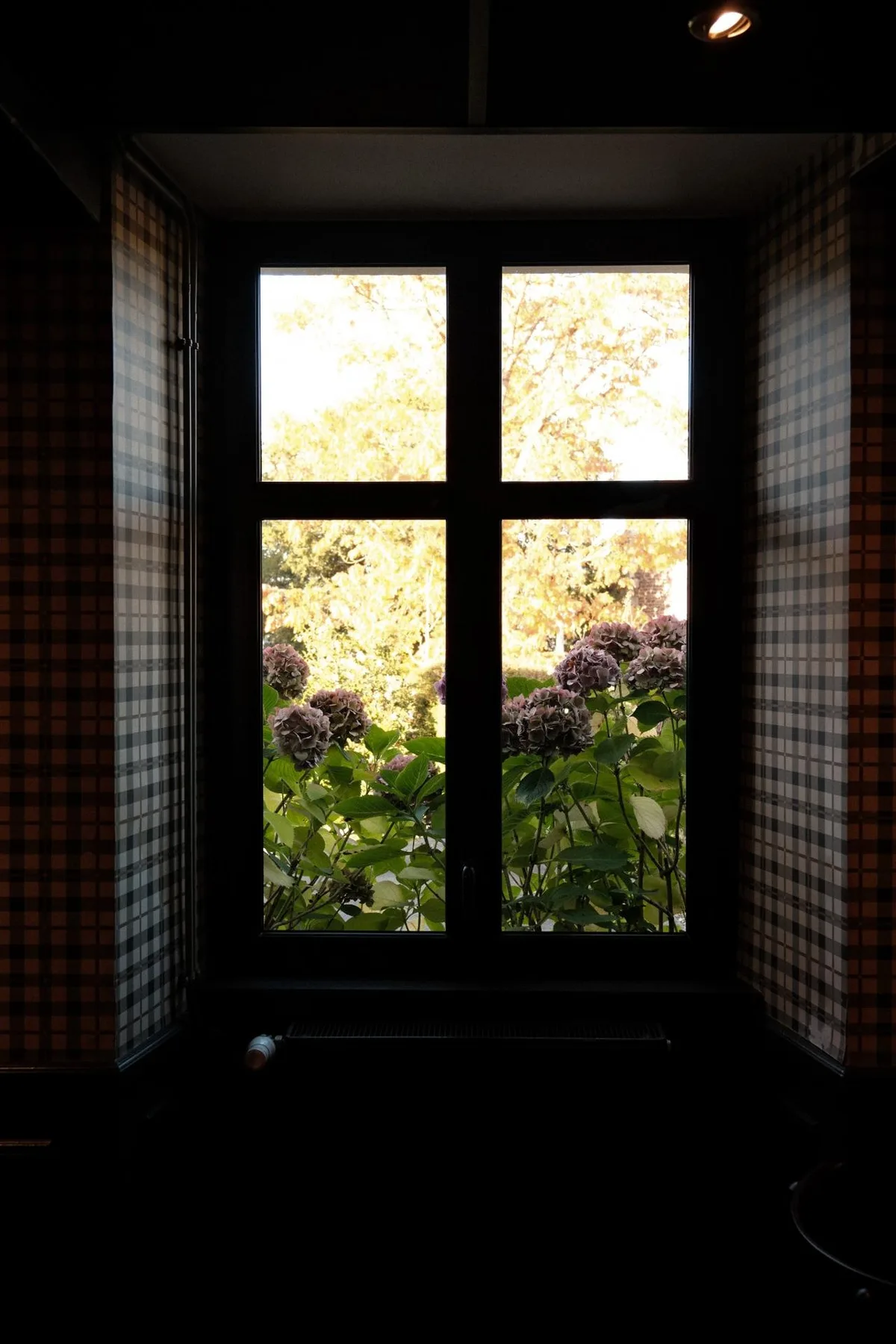 Hotel property photo