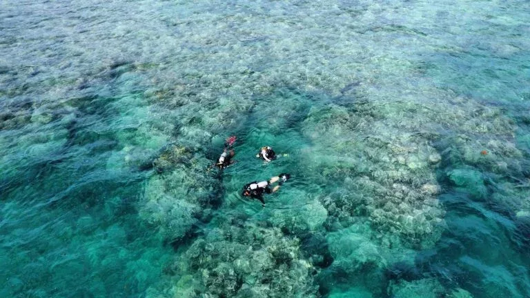 Aerial view of the resort