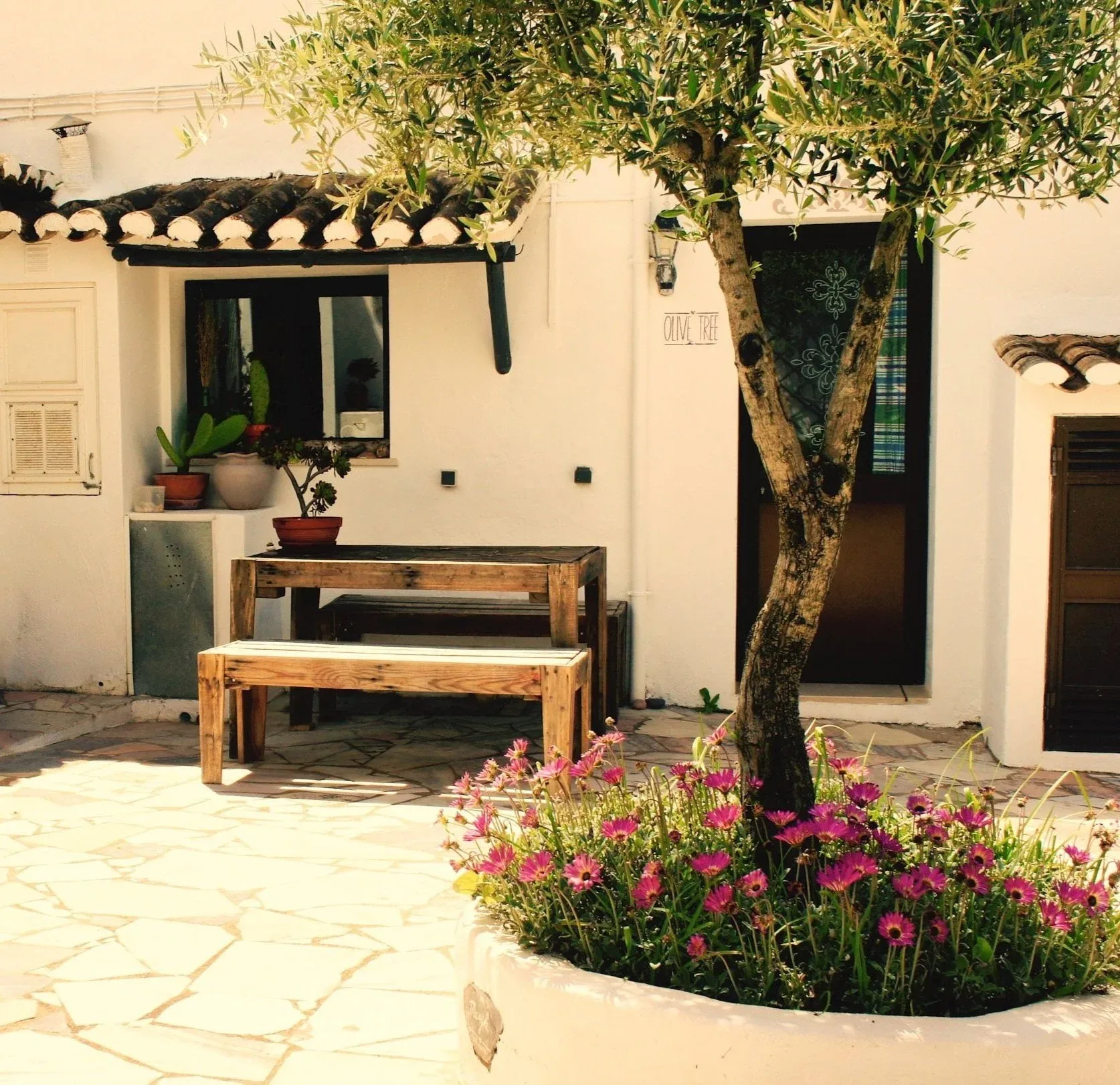 Casa de campo del olivo