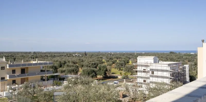 A coastal landscape with low buildings and scattered trees beneath a clear sky.