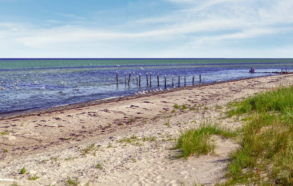 A sandy beach meets calm water beside grassy dunes.