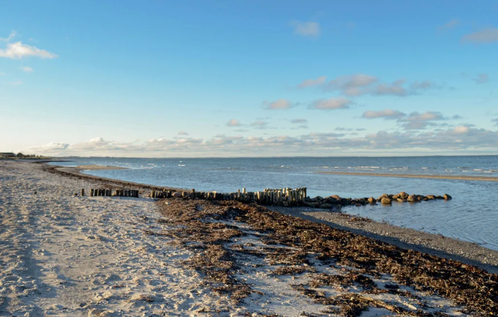 A sandy shoreline meets calm water beside a low wooden breakwater.