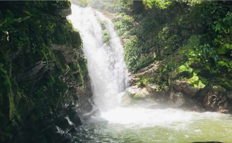 Serene 6BR Finca Surrounded by Nature