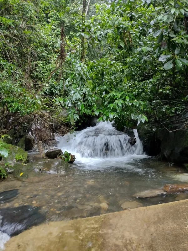 Serene 6BR Finca Surrounded by Nature