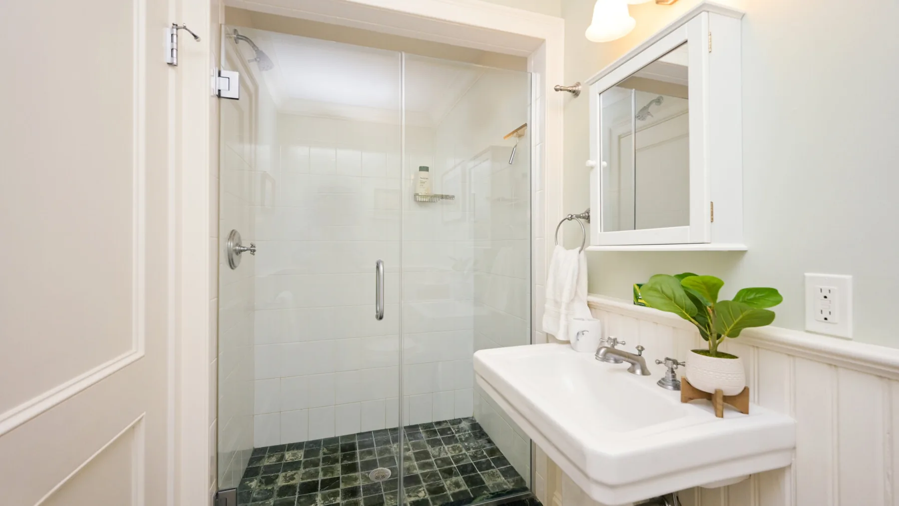 Un baño con ducha de vidrio, lavabo blanco y una planta de hojas verdes.