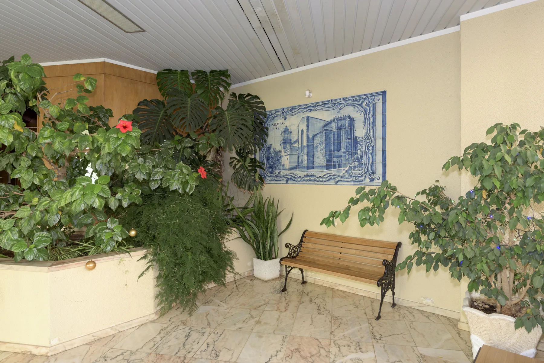 Una zona de estar interior con un banco de madera junto a varias plantas frondosas.