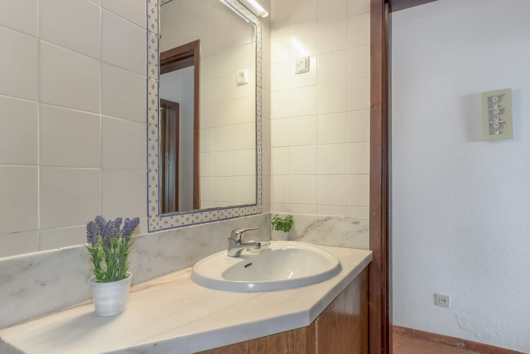 Un lavabo de baño con espejo y una pequeña planta en maceta.
