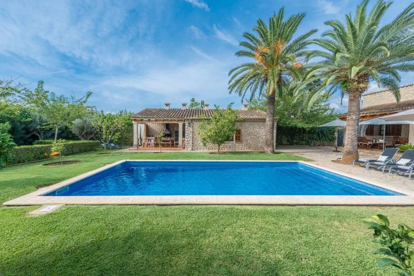 A swimming pool sits in a grassy garden beside palm trees and a patio.