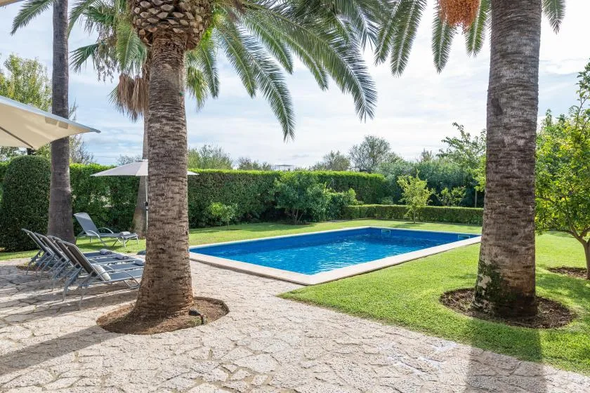 A rectangular swimming pool sits in a sunny garden bordered by hedges and palm trees.