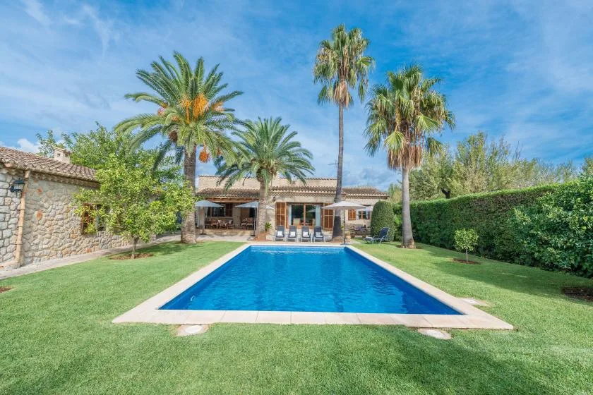 A backyard pool sits in a grassy garden with palm trees and a house beyond.