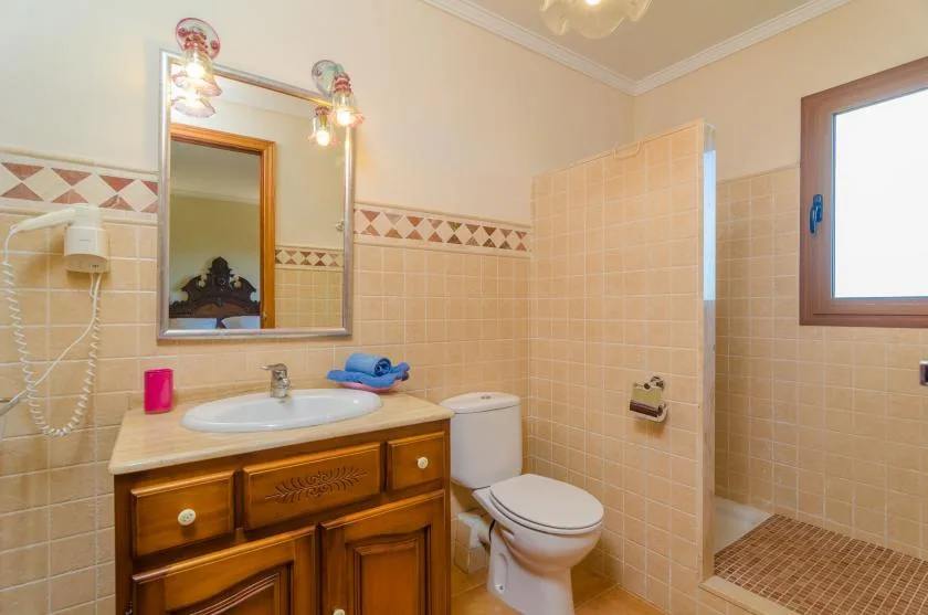 Un baño alicatado con tocador de madera, lavabo y ducha.