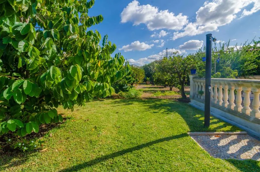Un jardín soleado con césped verde, árboles frondosos y una balaustrada de piedra.