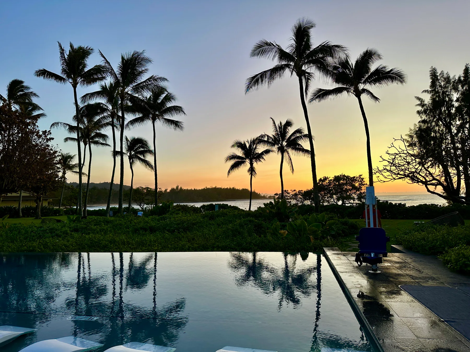 Una piscina refleja palmeras junto al agua al atardecer.