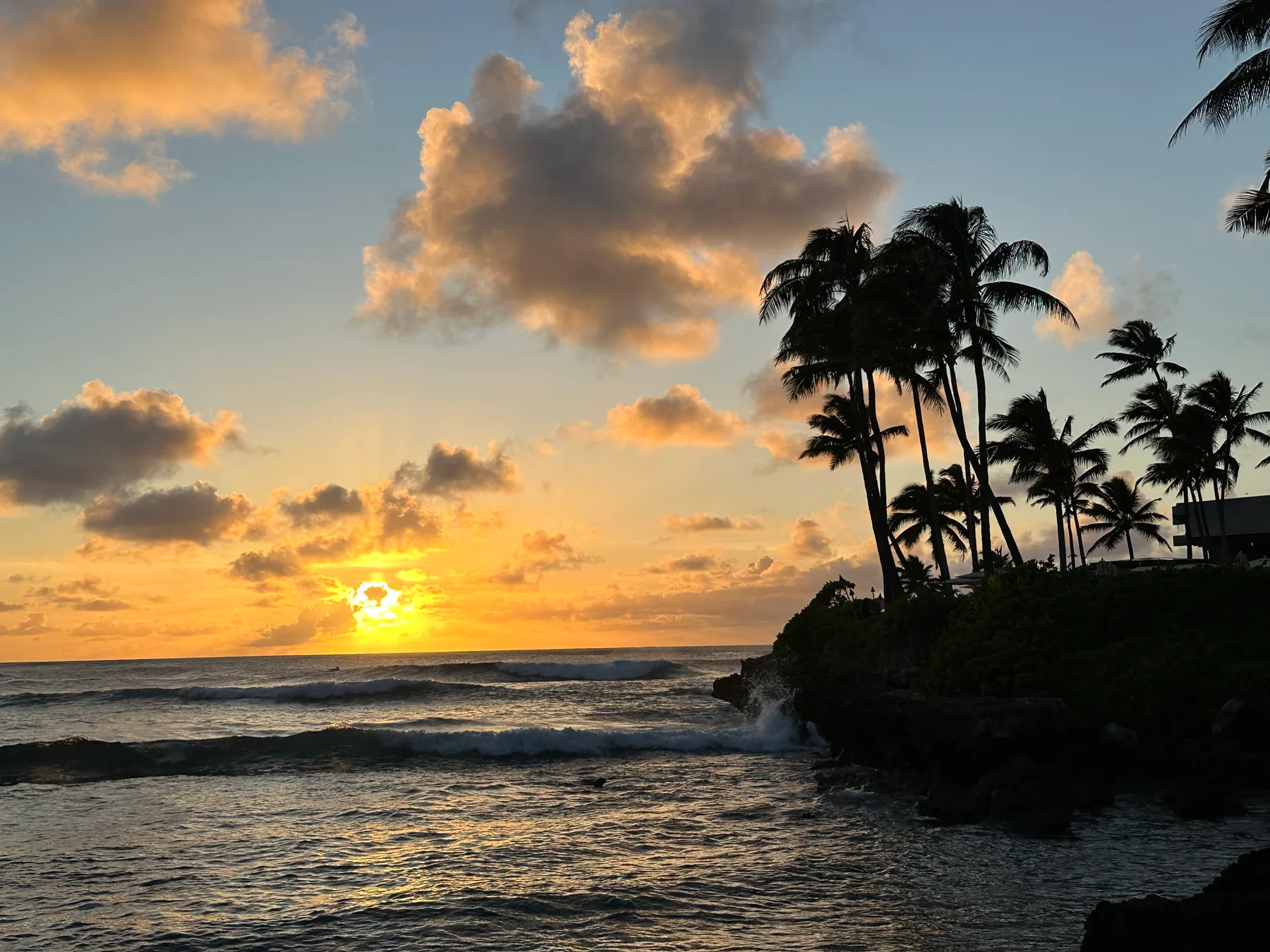 Un atardecer sobre el océano, con palmeras silueteadas junto a la costa.