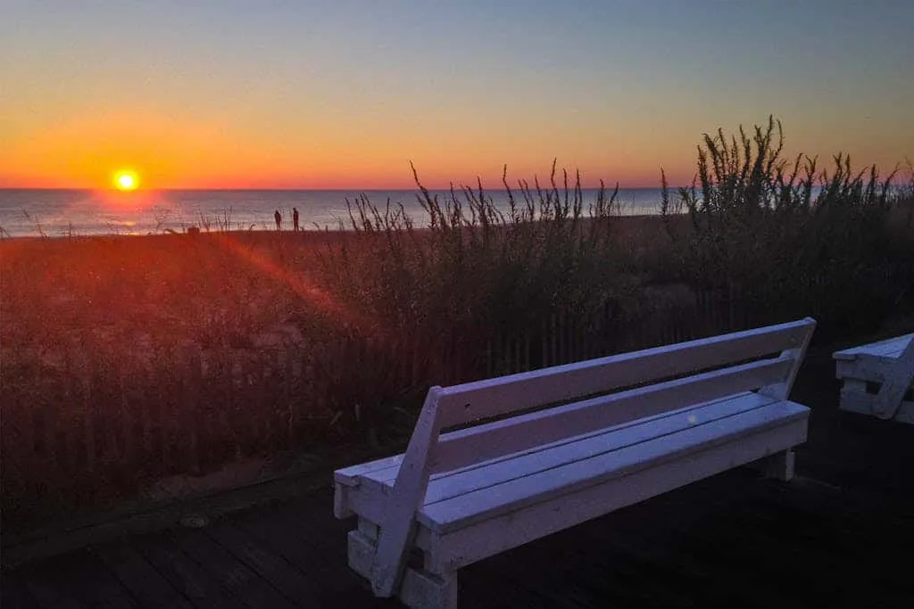 A bench overlooks beach grasses and the ocean at sunset.