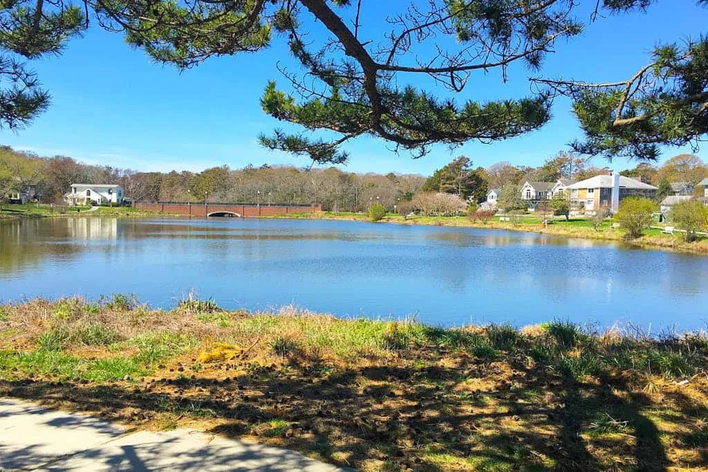 A pond bordered by trees and homes beneath a clear blue sky.