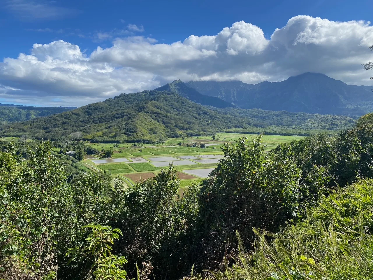 Un valle verde con campos cultivados bajo un cielo nublado.