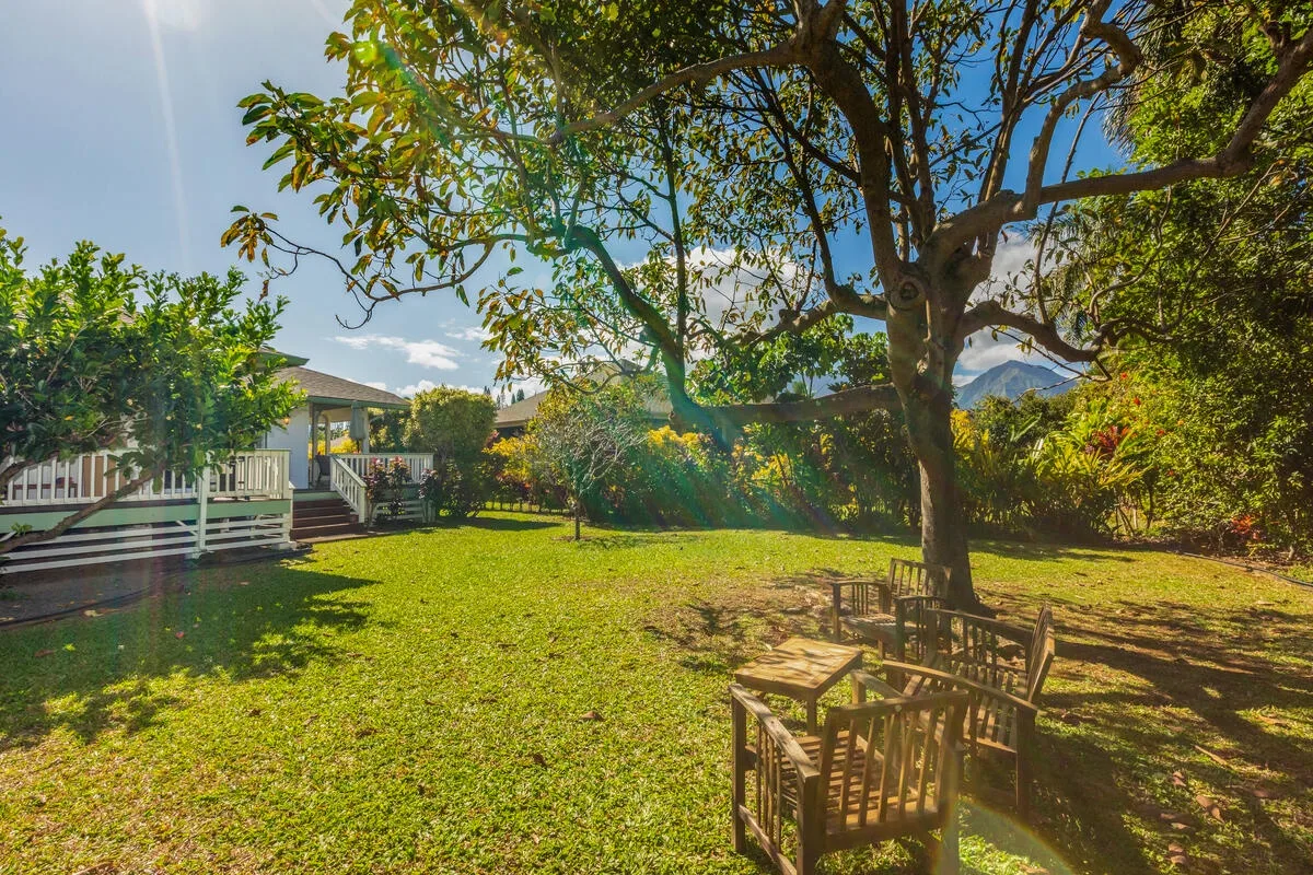 Un jardín soleado con césped amplio, árboles maduros y asientos al aire libre.