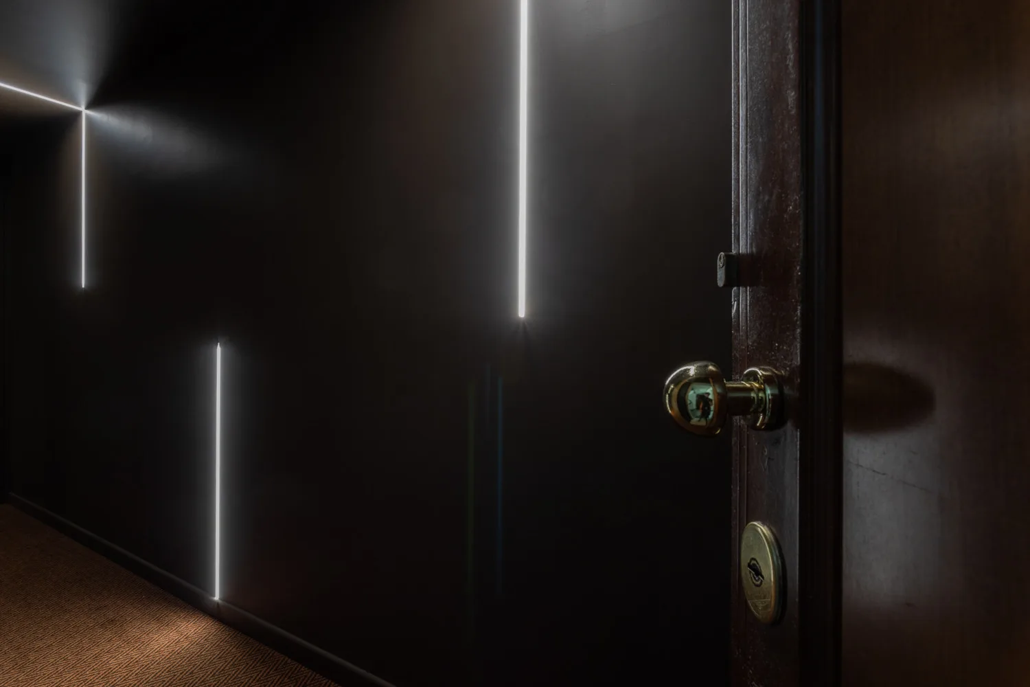 A dark entrance door with a brass-colored handle and narrow vertical lights.