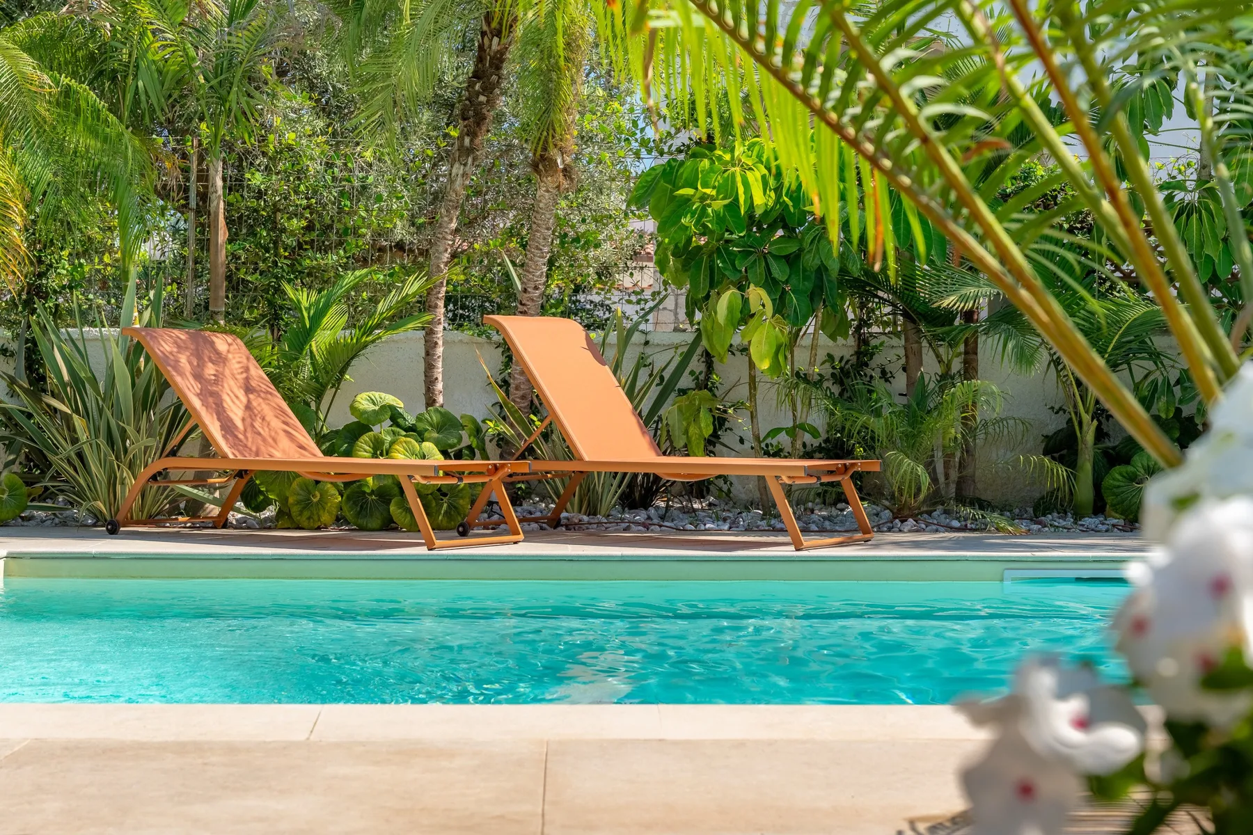 A swimming pool with two lounge chairs sits among lush tropical plants.