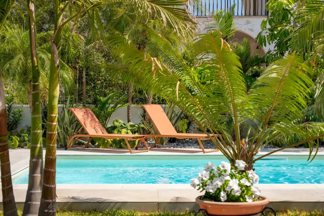 A swimming pool bordered by tropical plants and lounge seating.