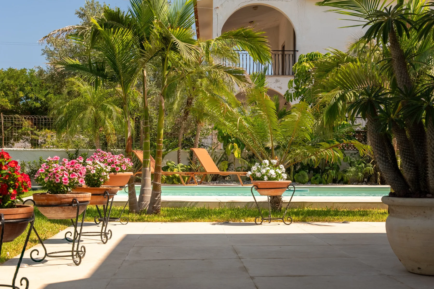 A sunny garden patio overlooks a pool, with flowering plants and palm trees.