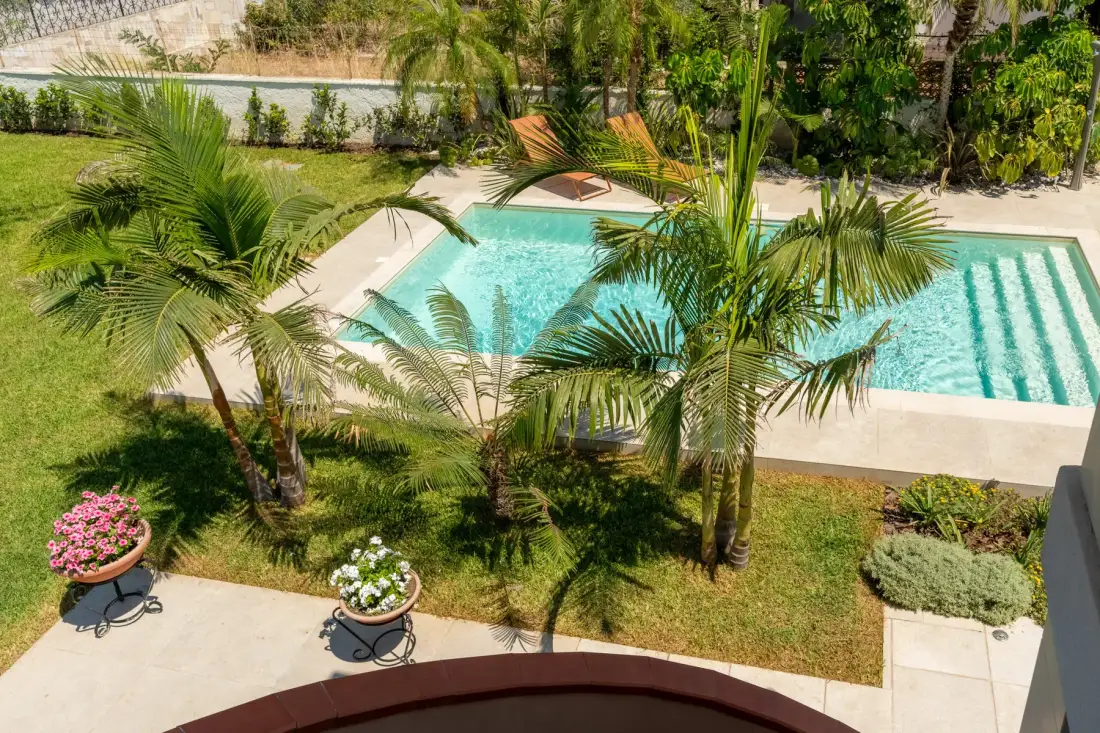 A swimming pool sits among palm trees and landscaped garden beds.