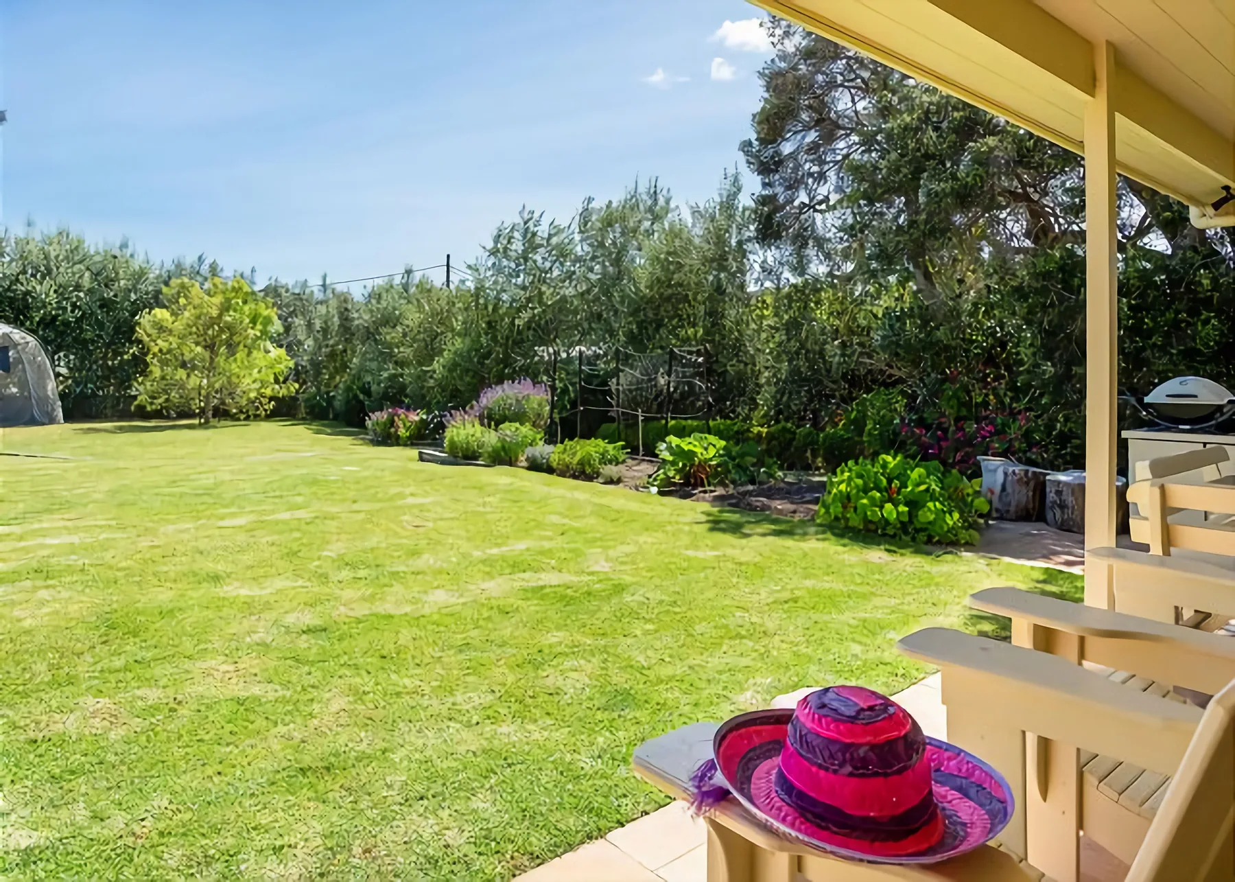 Un jardín con césped y plantas con flores, visto desde un patio sombreado.