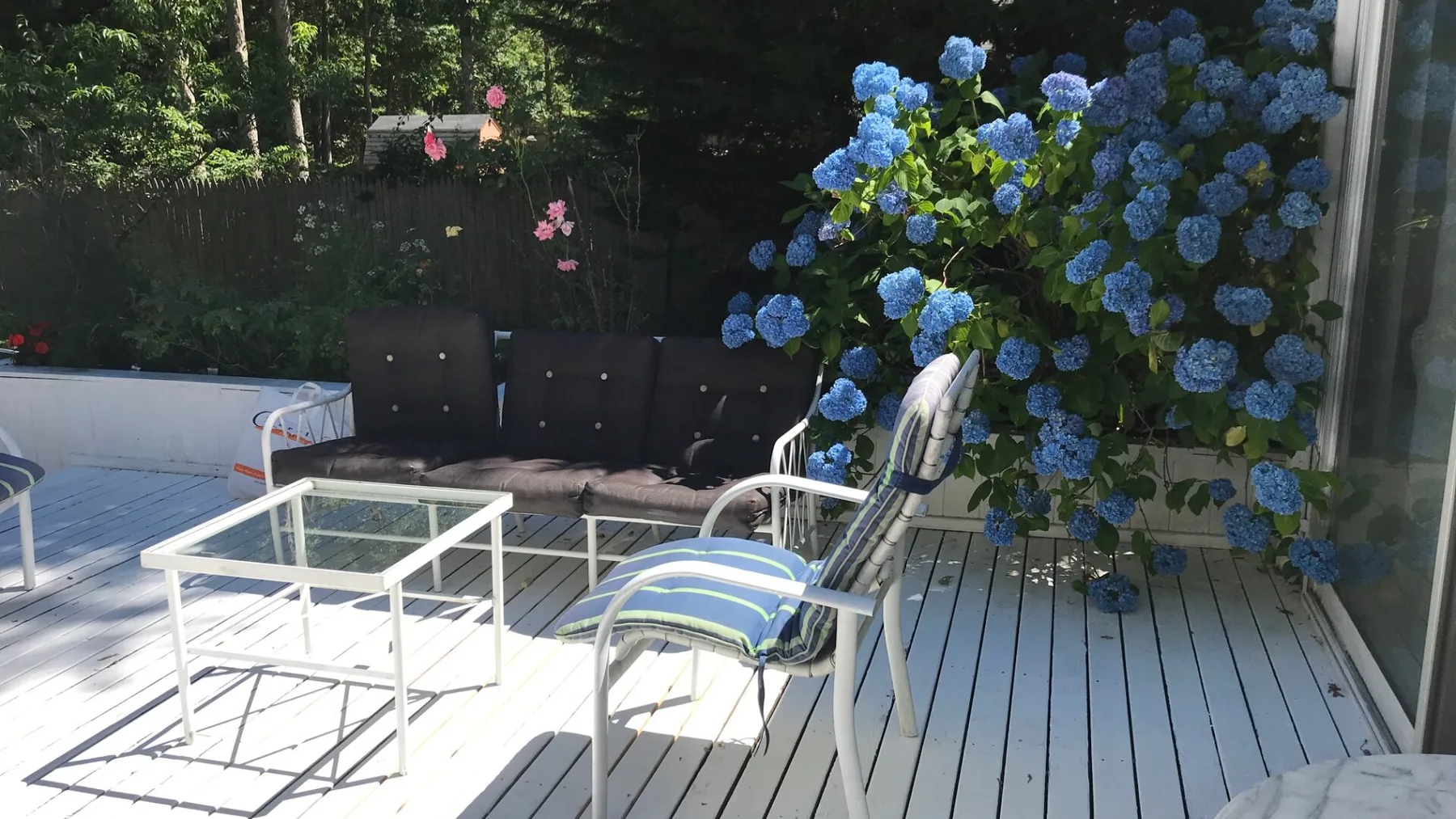 Un patio soleado con asientos al aire libre y arbustos con flores azules.