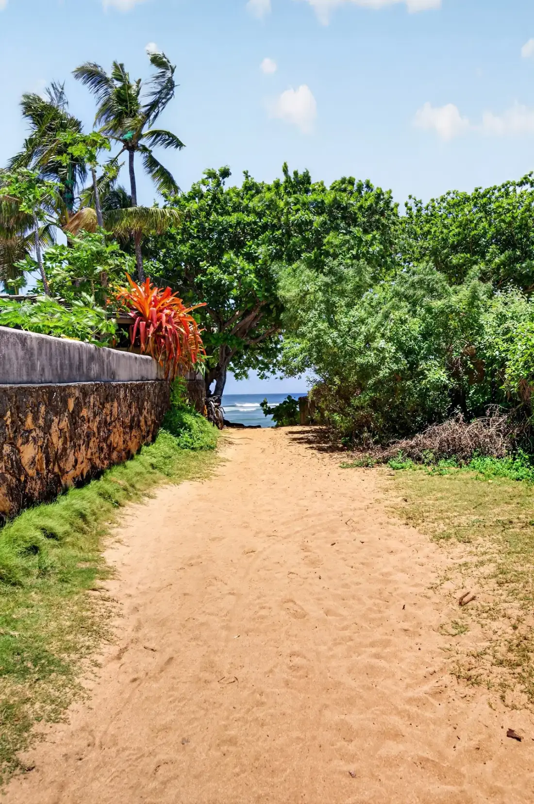 Un sendero de arena atraviesa la vegetación tropical y conduce al océano.