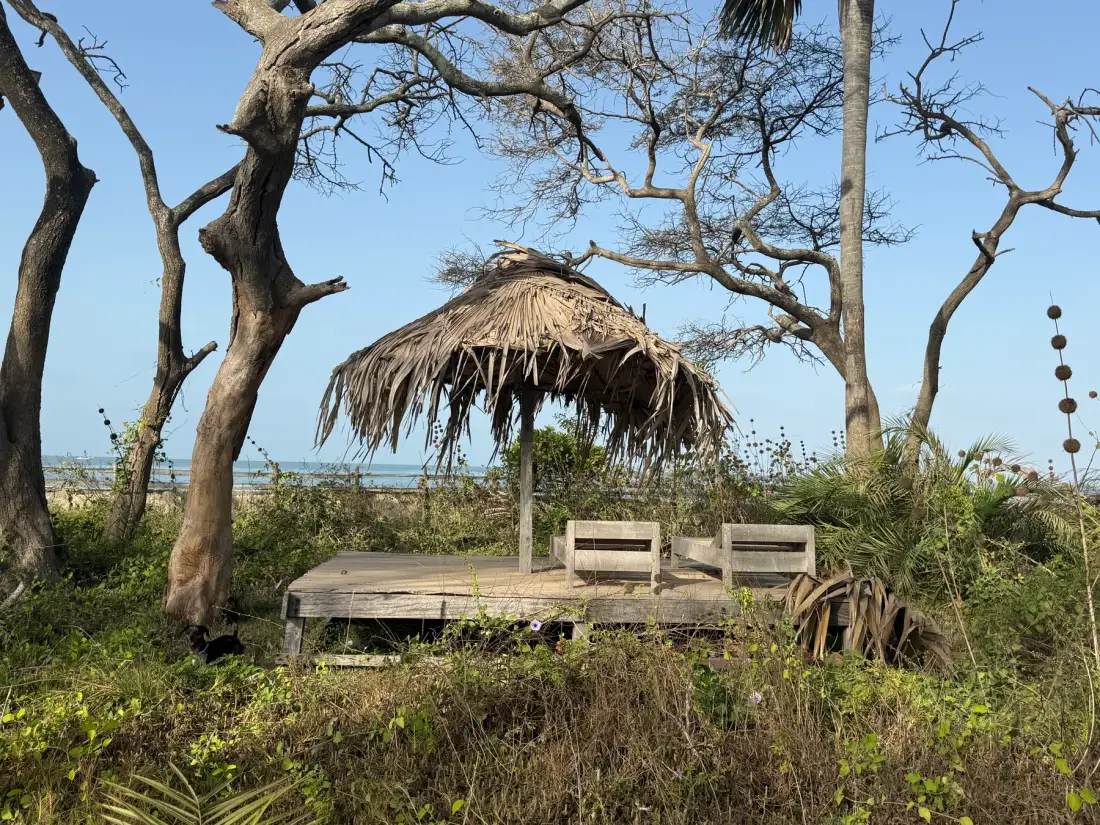 Mansa Musso Treehouse Lodge