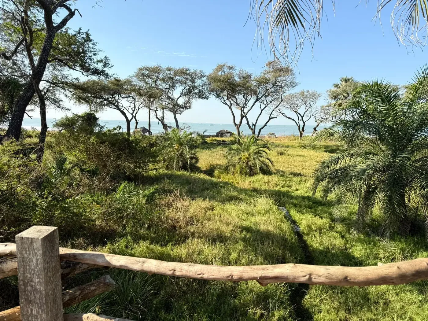 Terrace at a treehouse lodge at Mansa Musso