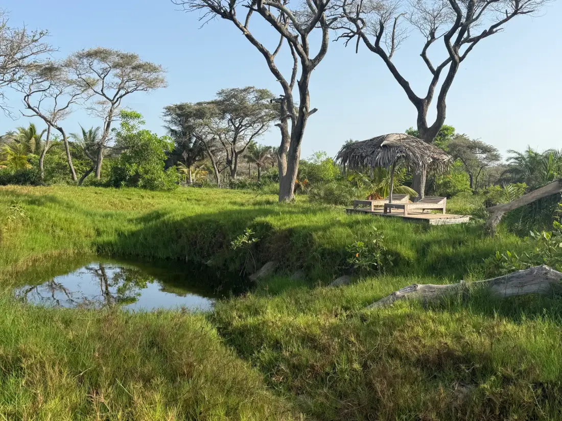 Mansa Musso Treehouse Lodge