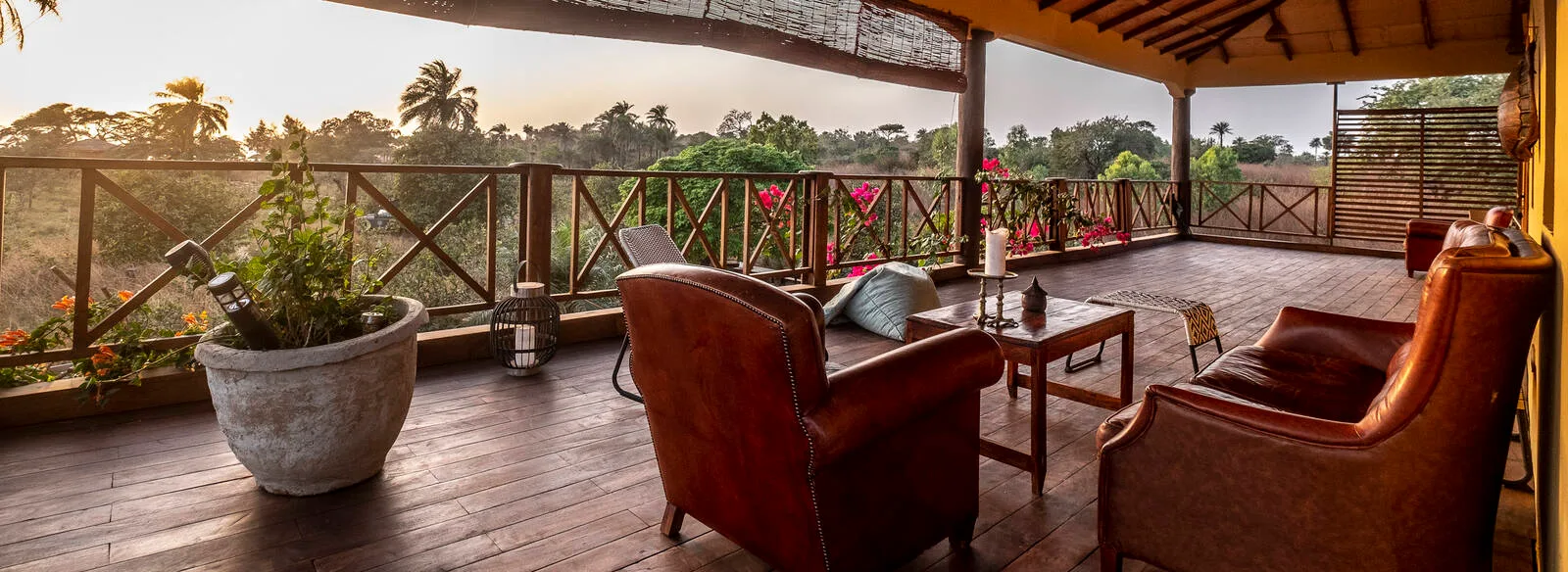 Mansa Musso Treehouse Lodge