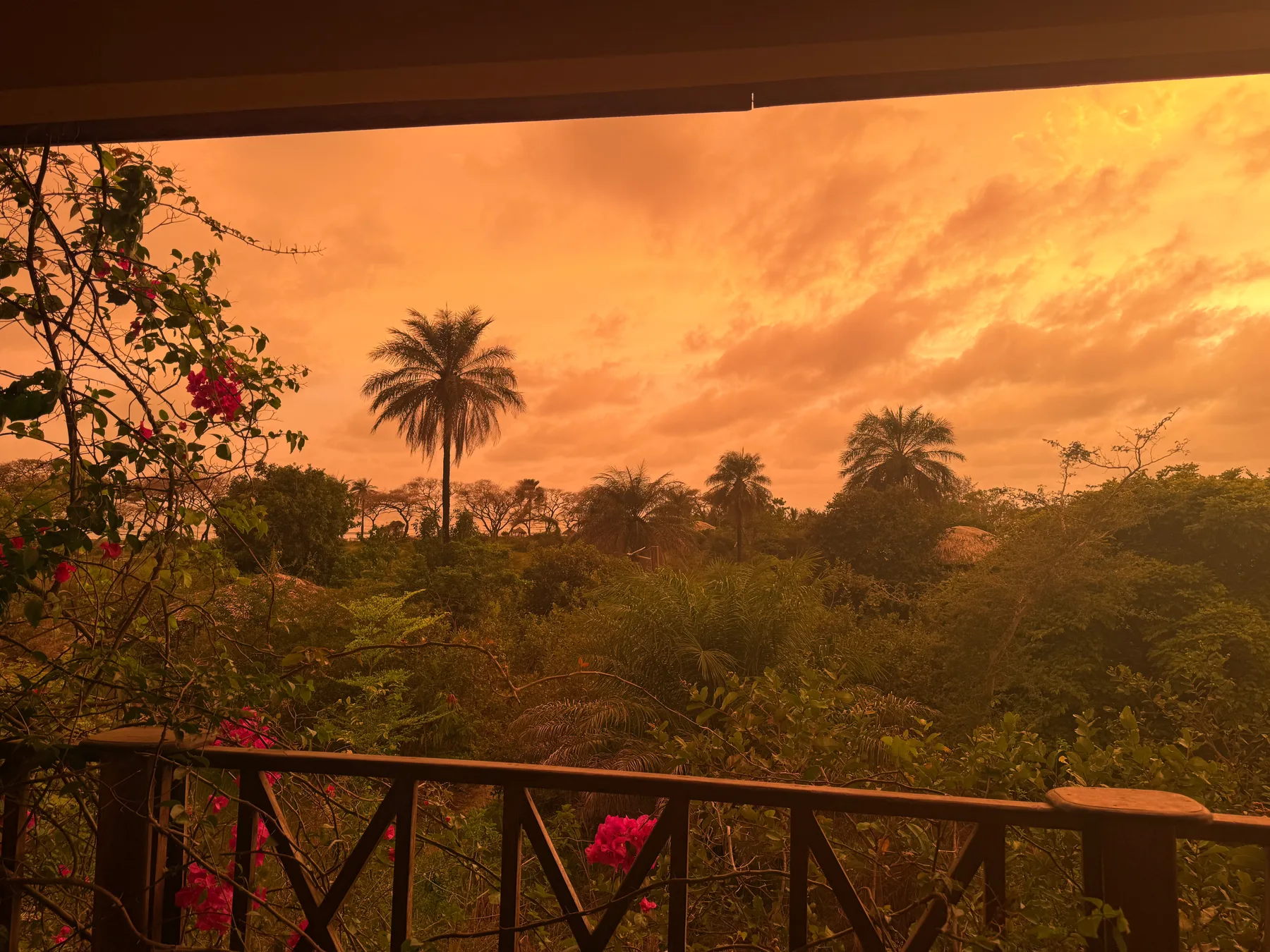 Mansa Musso Treehouse Lodge