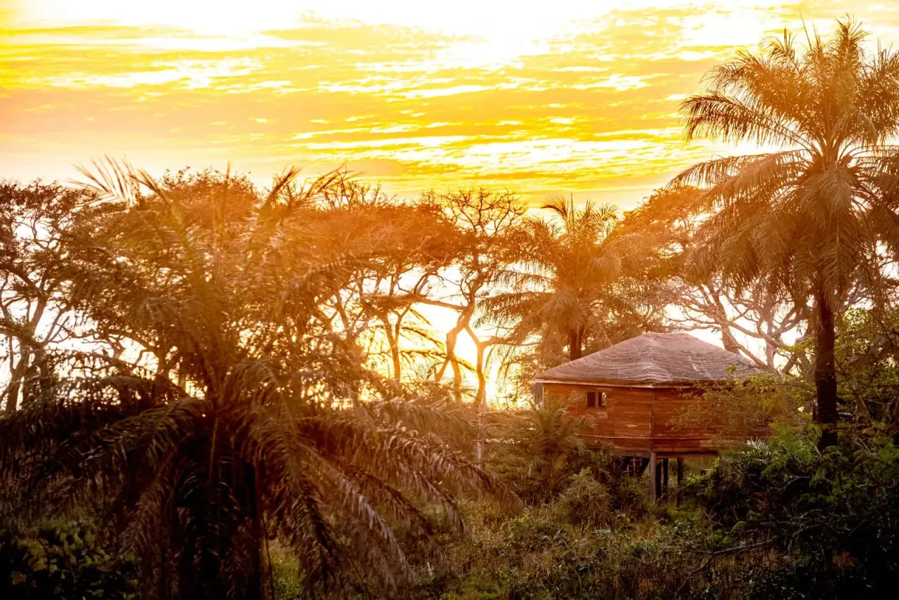 Sunset over the treehouse lodges at Mansa Musso, Sanyang Beach