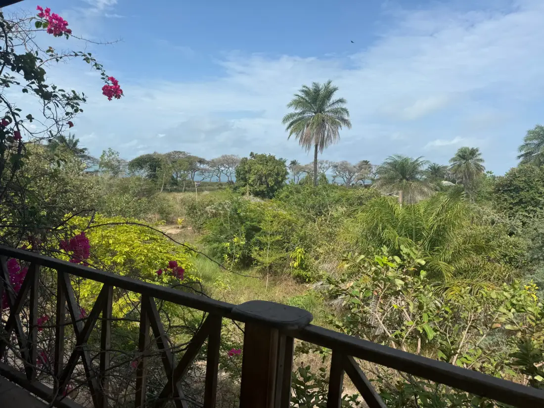 Mansa Musso Treehouse Lodge