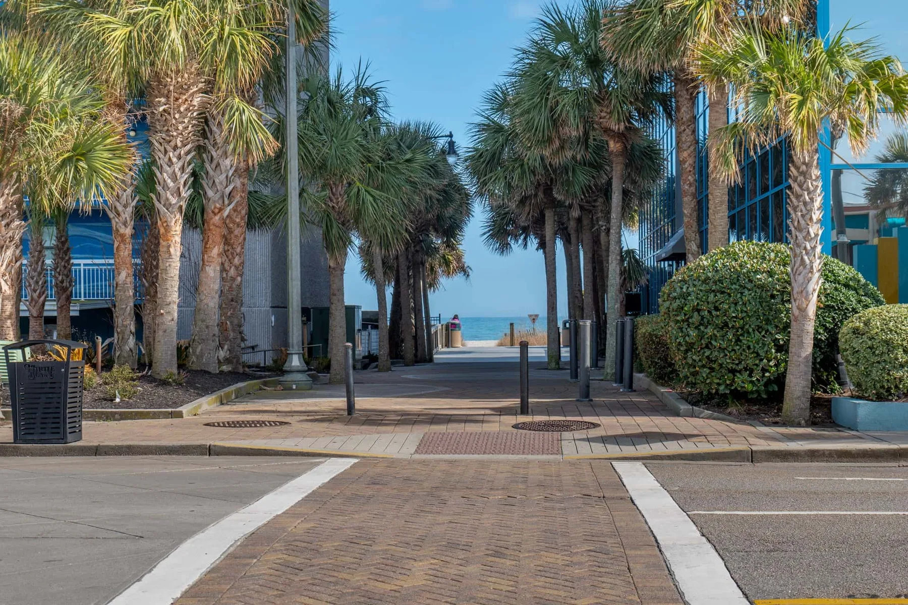A palm-lined pedestrian path leads between buildings toward the water.