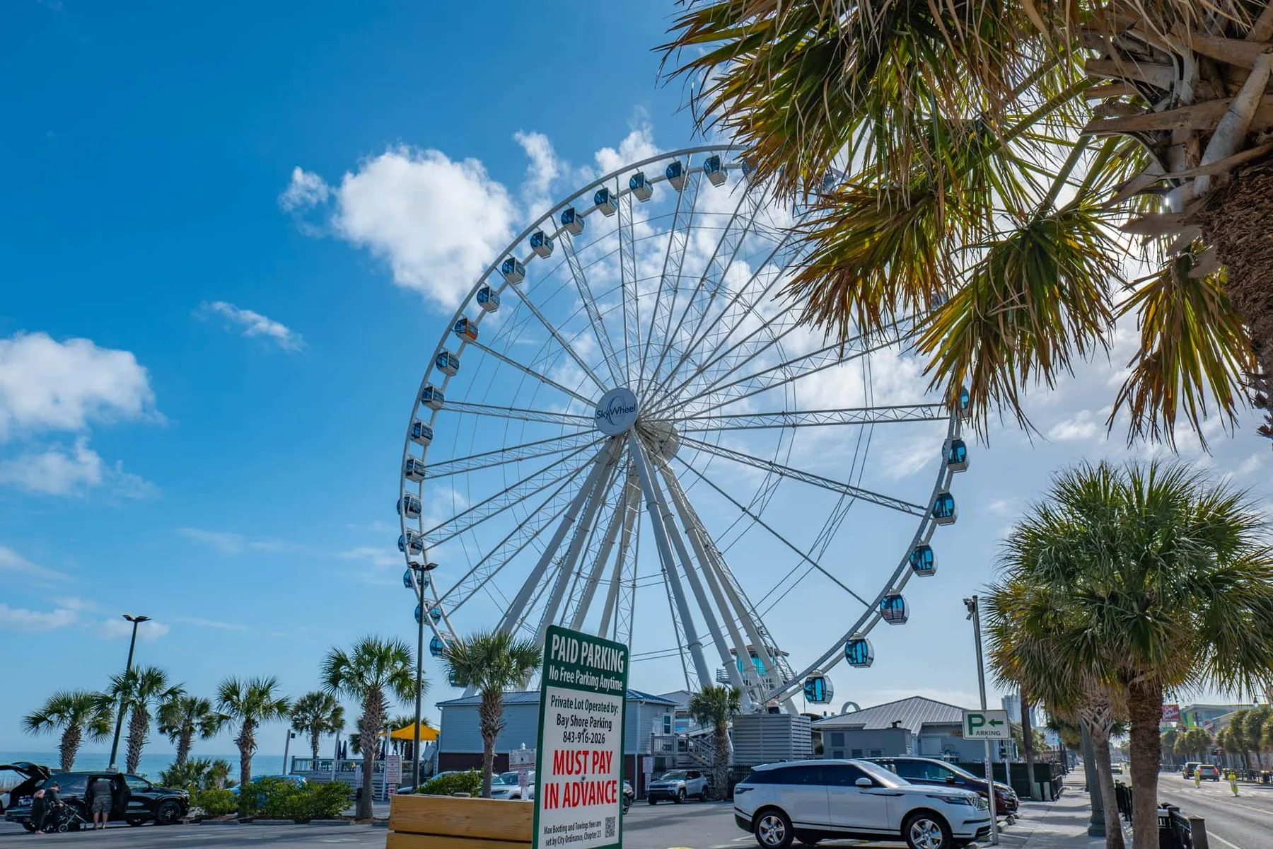 A large Ferris wheel stands beside palm trees under a blue sky.