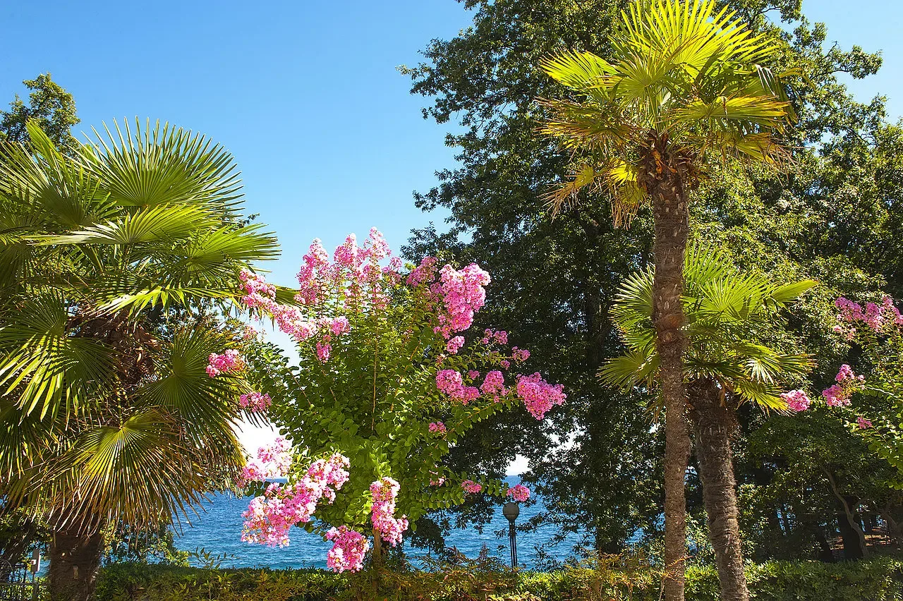 Villa Astra garden in bloom