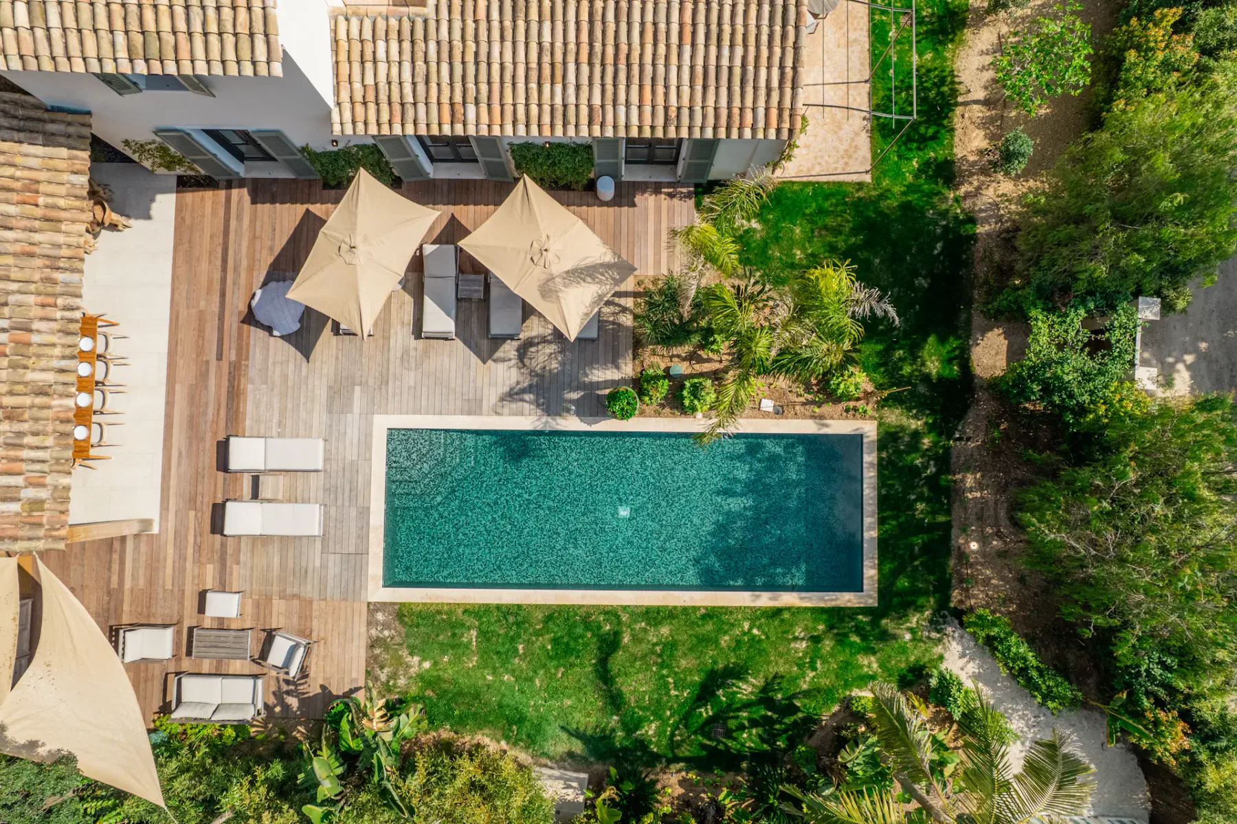 Vista aérea de un patio trasero moderno con una piscina rectangular, tarima de madera, tumbonas y grandes sombrillas, rodeado de vegetación.