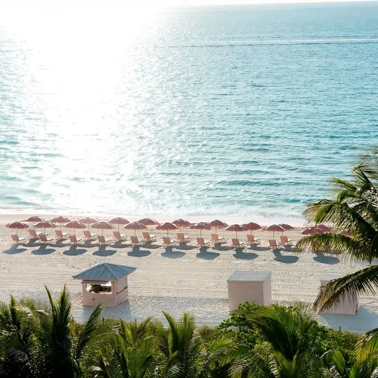 Beachfront scene