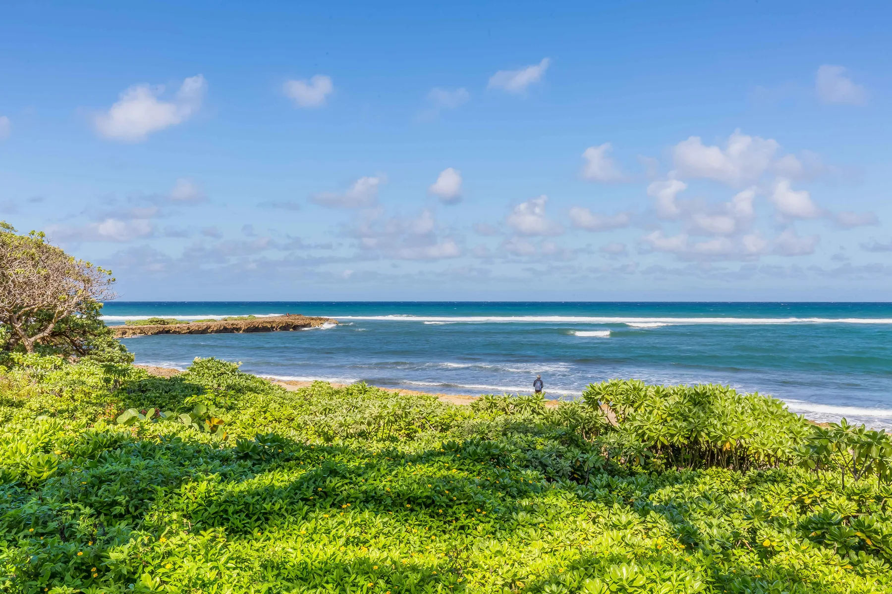 A coastal beach scene with green vegetation in the foreground and ocean waves beyond.