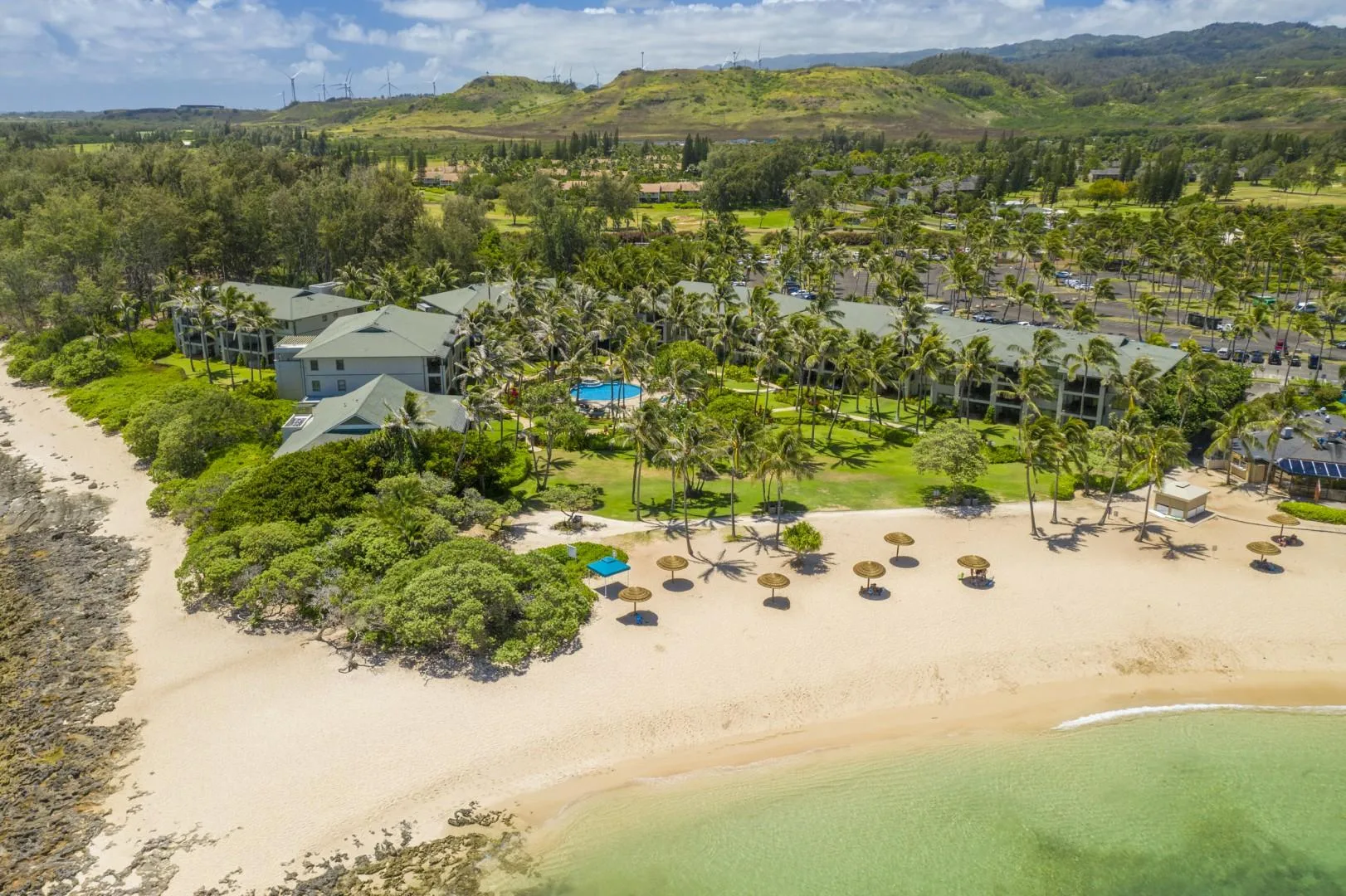 Aerial view of a sandy beach lined with palm trees and thatched umbrellas.